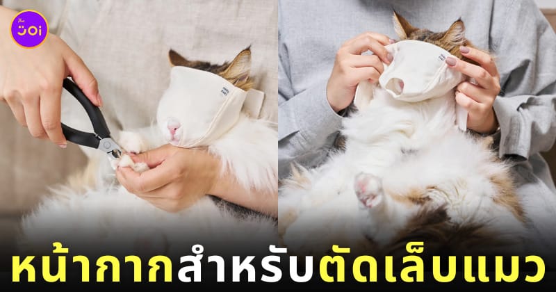 หน้ากากแมว ตัดเล็บ แบรนด์ Nekozuki ญี่ปุ่น