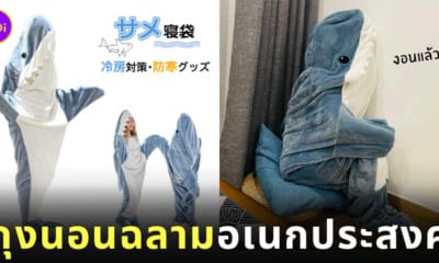 สินค้าญี่ปุ่น ถุงนอนฉลาม น่ารัก