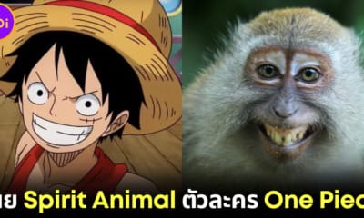 ปก 10 Spirit Animal ของ ตัวละคร One Piece