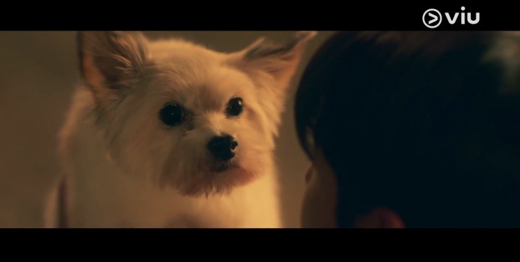 ชาอึนอู ฉากจูบหมา a good day to be a dog