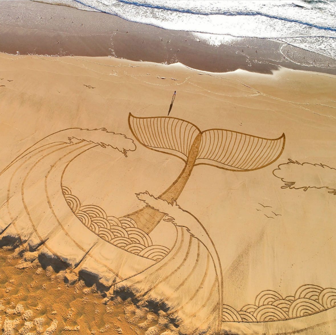 ผลงานภาพวาดบนหาดทราย
