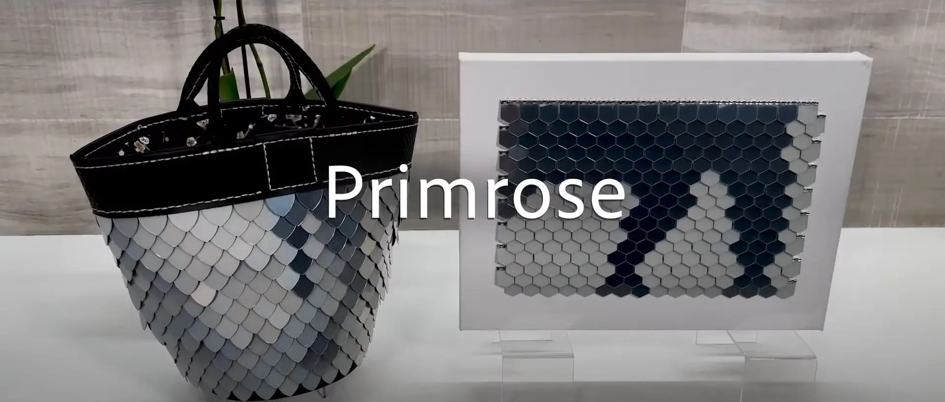 Project-Primrose
