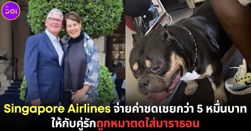 ปก Singapore Airlines ชดเชย หมาตดใส่ผู้โดยสาร