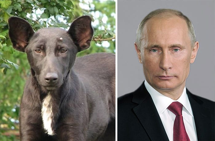วลาดิเมียร์ ปูติน (Vladimir Putin)