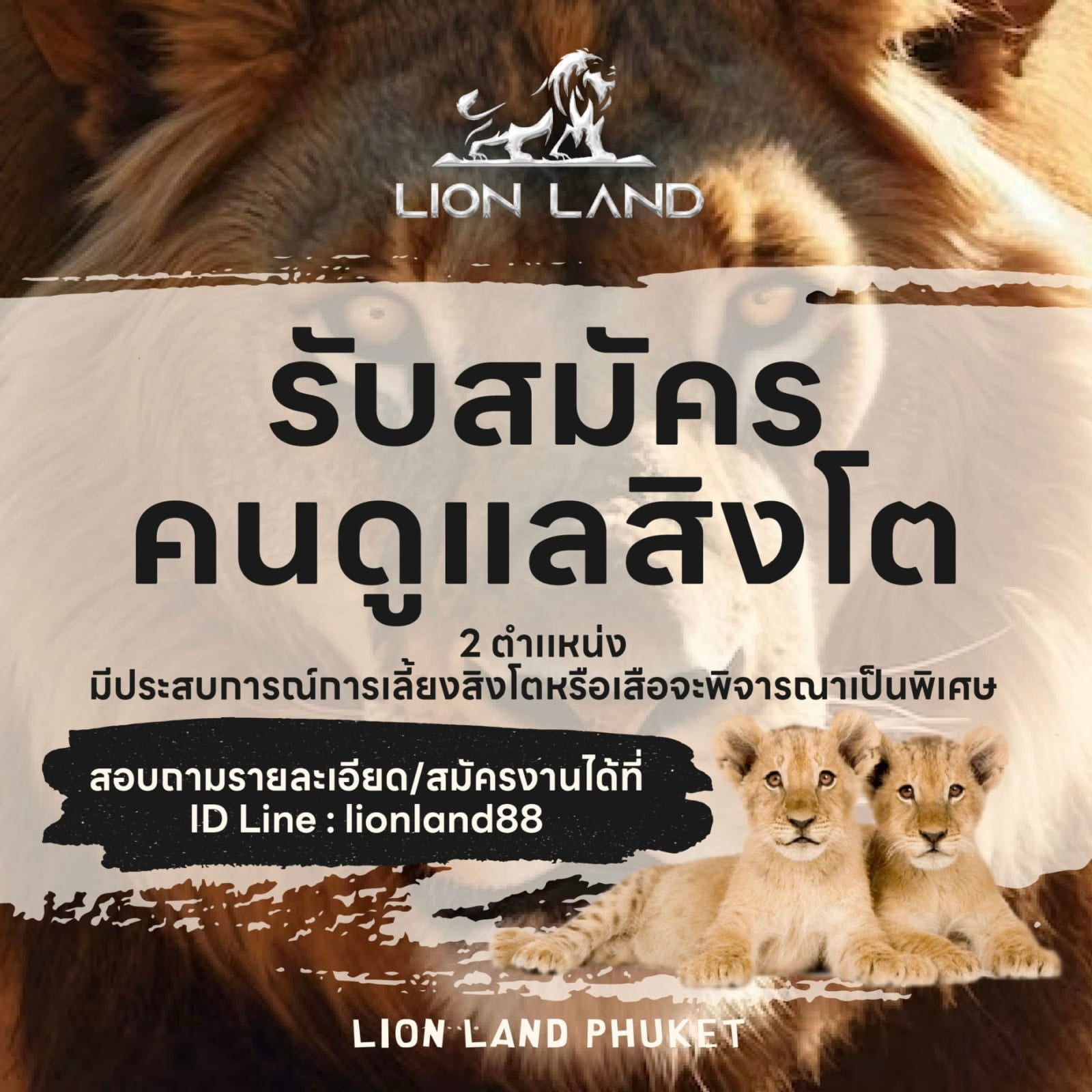 LION LAND PHUKET รับสมัครคนดูแลสิงโต
