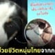 หมาช่วยชีวิตแรงงานไทย