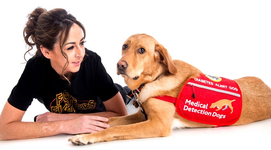 medical detaction dogs