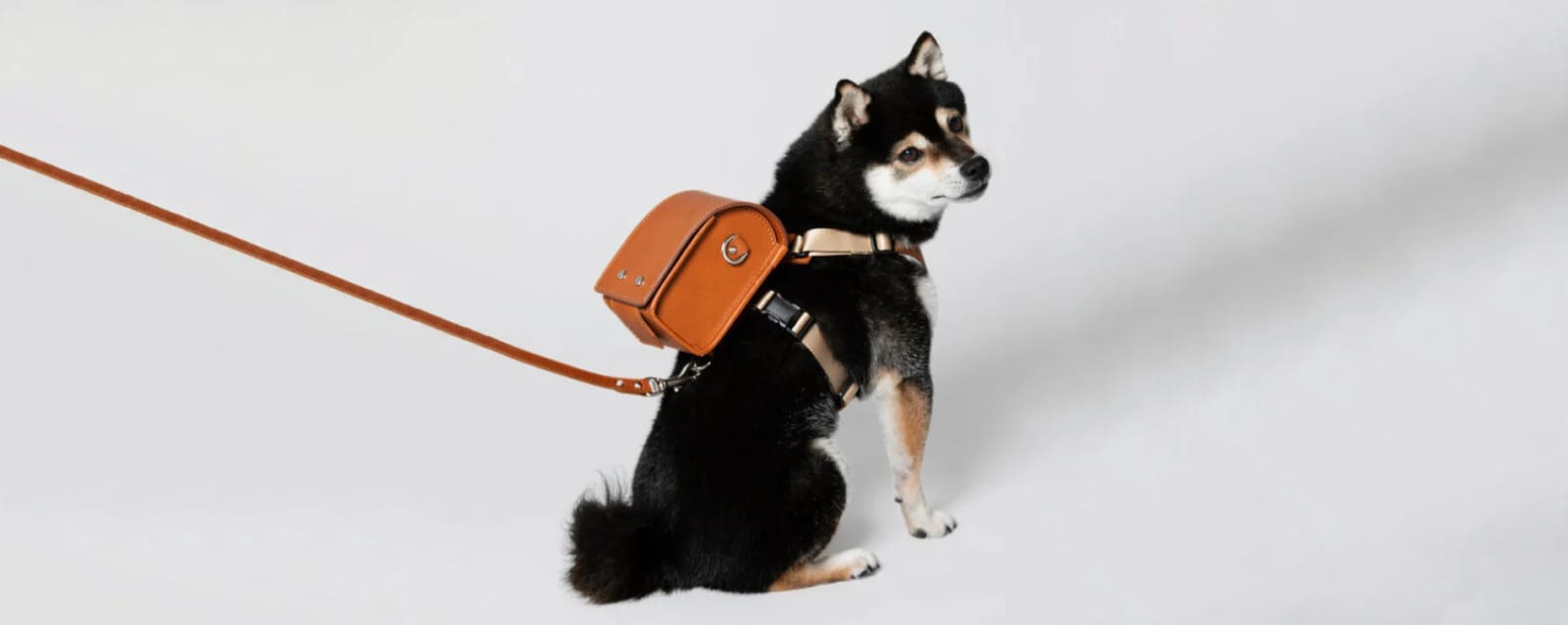 กระเป๋านักเรียนญี่ปุ่นน้องหมา 2
