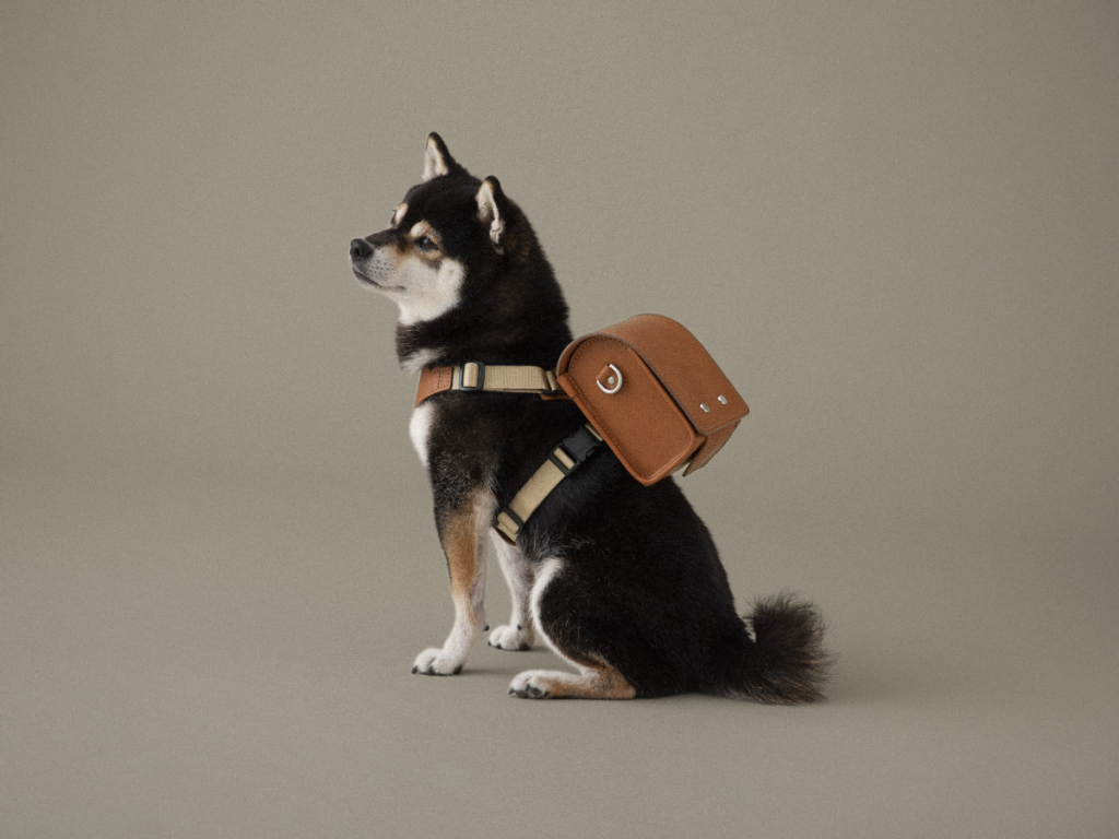 กระเป๋านักเรียนน้องหมา