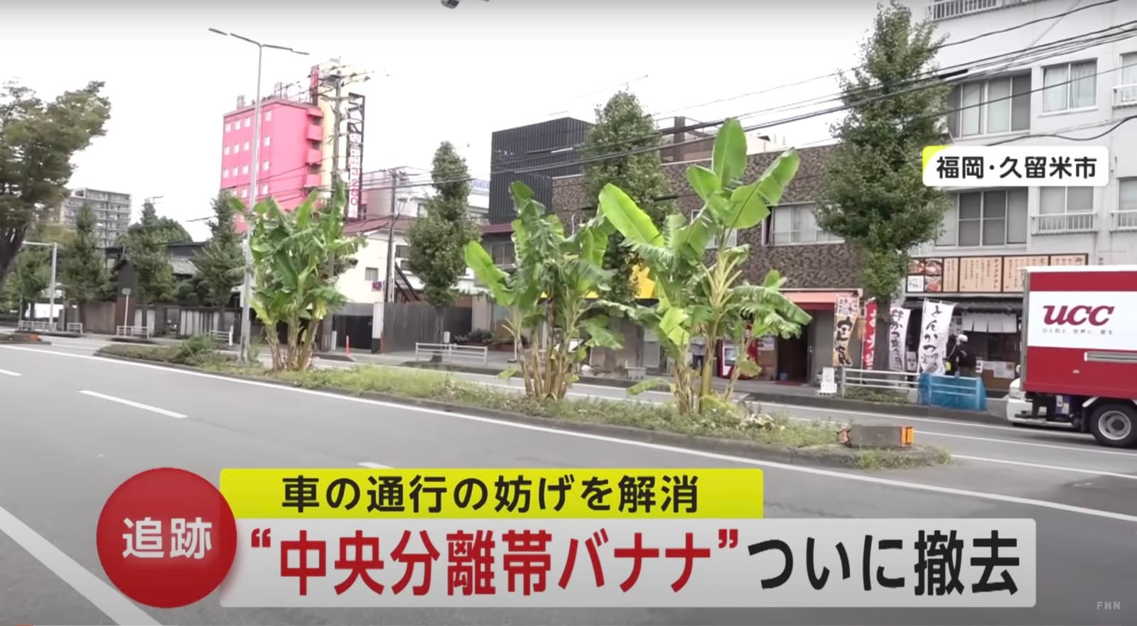 ชายชาวญี่ปุ่นแอบปลูกกล้วยบนเกาะกลางถนนนานกว่า 2 ปี ก่อนถูกสั่งให้ถอนออกเพราะตำรวจเพิ่งรู้