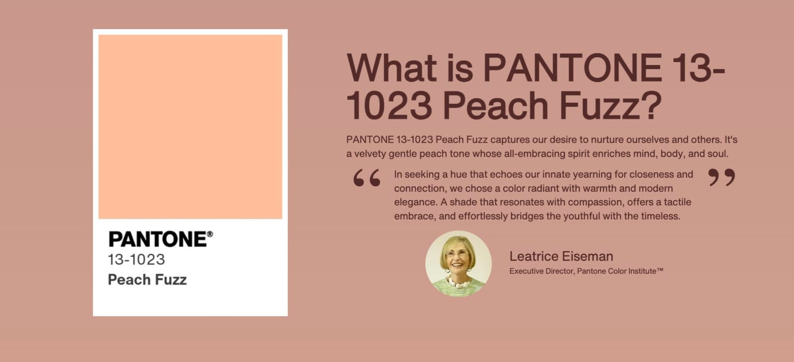 สีส้มลูกพีช peach fuzz สีแห่งปี 2024 pantone