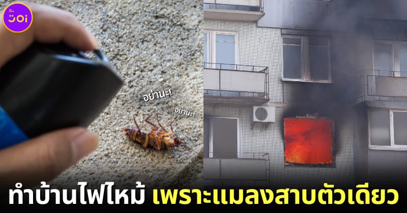 ปก ชายญี่ปุ่นทำอะพาร์ตเมนต์ไฟไหม้ หลังฉีดยาฆ่าแมลงสาบ