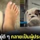 ปก ไวรัล คลิปหมาขโมยรองเท้าสาวไทยในร้านอยู่เย็น