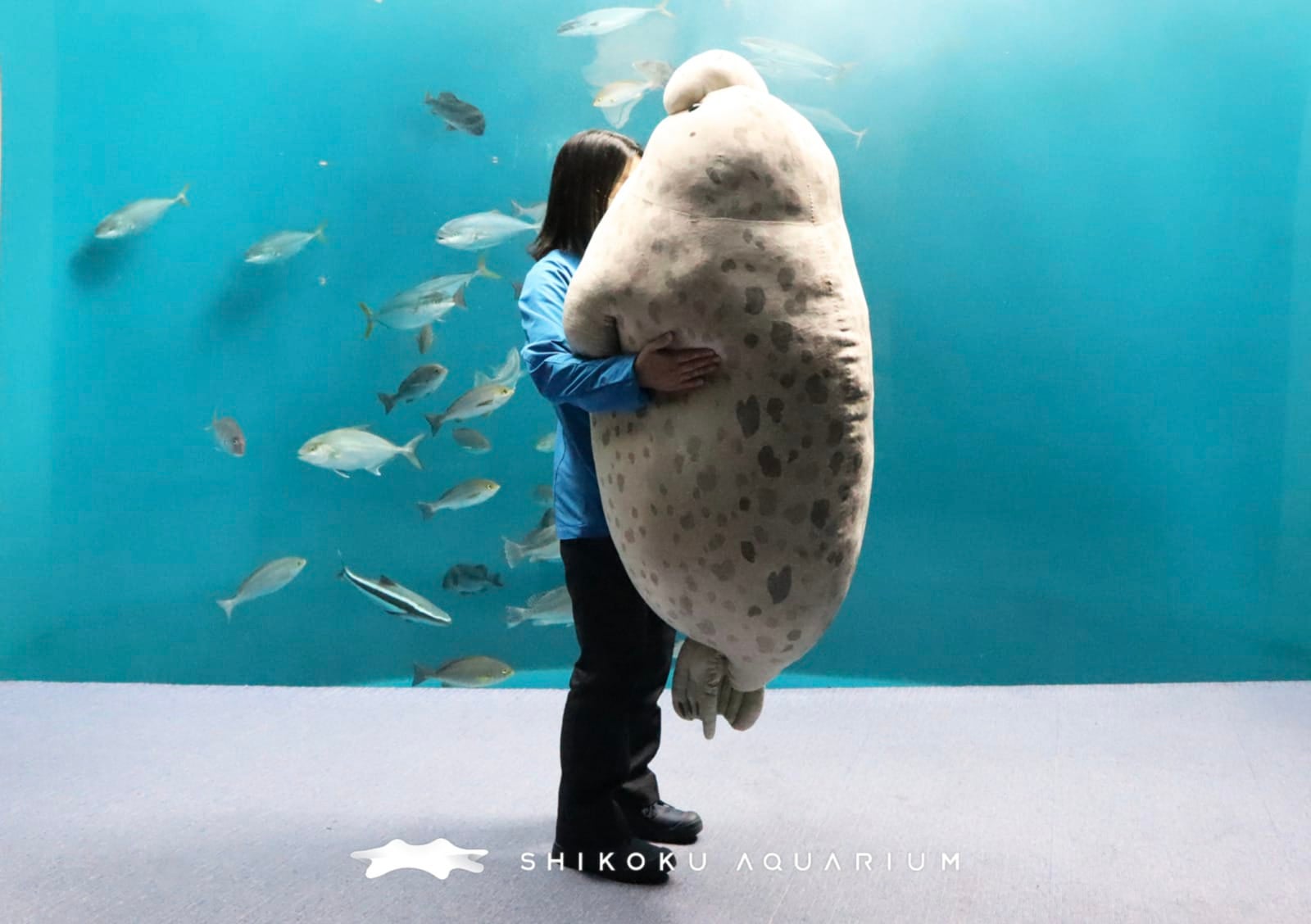 ตุ๊กตาแมวน้ำยักษ์ ตุ๊กตาอุ๋ง พิพิธภัณฑ์สัตว์น้ำชิโกกุ ญี่ปุ่น Shikoku Aquarium