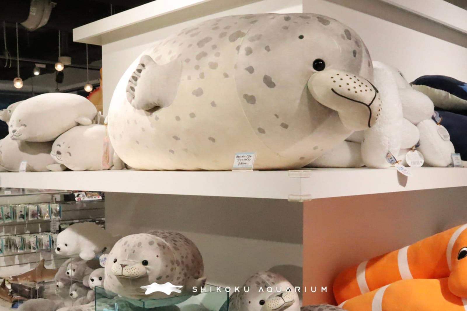 ตุ๊กตาแมวน้ำยักษ์ ตุ๊กตาอุ๋ง พิพิธภัณฑ์สัตว์น้ำชิโกกุ ญี่ปุ่น Shikoku Aquarium
