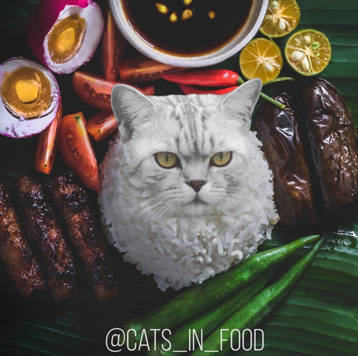 ภาพตัดต่อแมวผสมเข้ากับอาหารและขนม