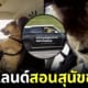 ปก Scpa นิวซีแลนด์สอนหมาจรขับรถ