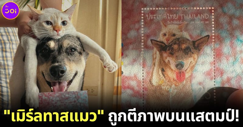 ปก เมิร์ลทาสแมว ถูกตีพิมพ์บนแสตมป์ไปรษณีย์ไทย วันรักสัตว์เลี้ยงโลก