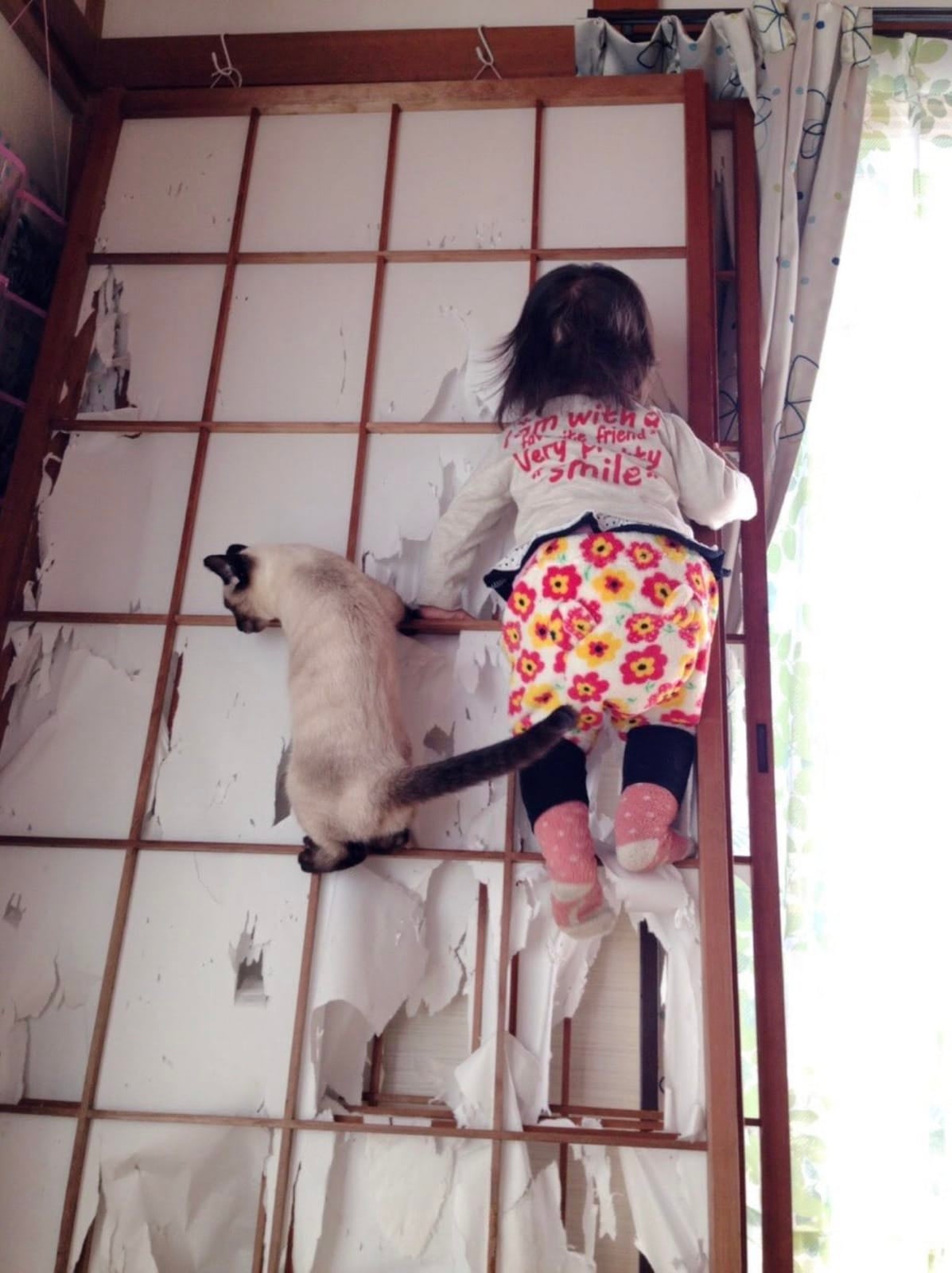 ภาพลูกสาวปีนประตูตามแมว