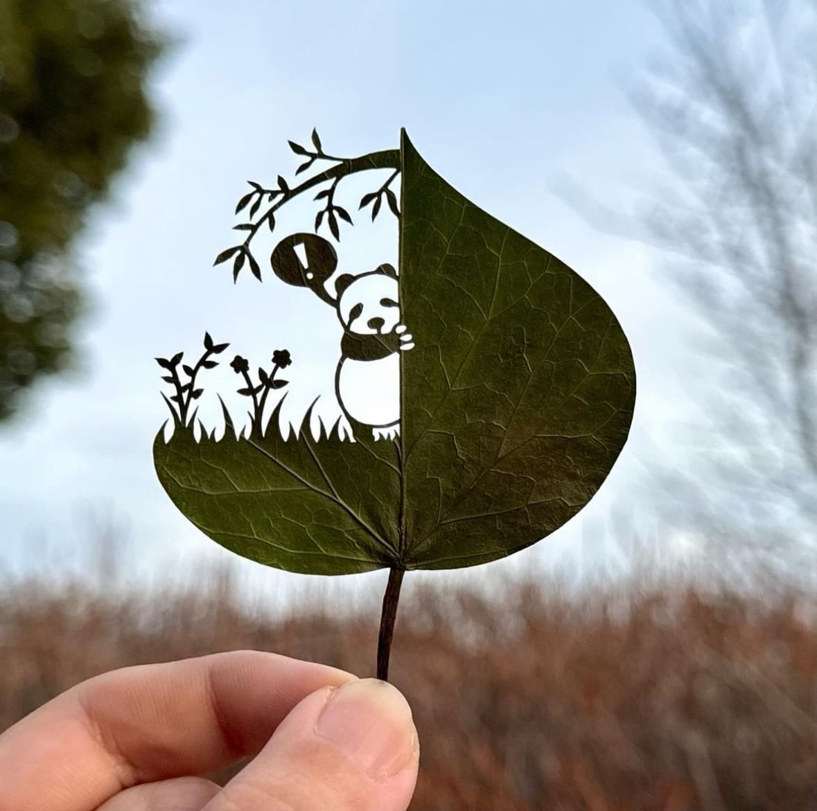 ผลงานศิลปะการตัดแต่งใบไม้สุดเจ๋ง Lito Leaf Art