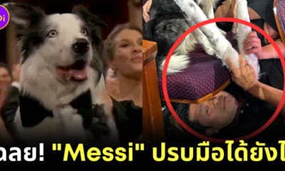 เบื้องหลัง เจ้าหมา Messi ปรบมือ