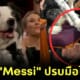 เบื้องหลัง เจ้าหมา Messi ปรบมือ