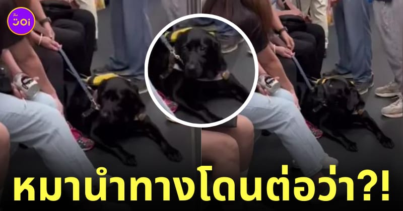 ลุงโวยวายสุนัขนำทางขึ้นรถไฟใต้ดิน ฮ่องกง