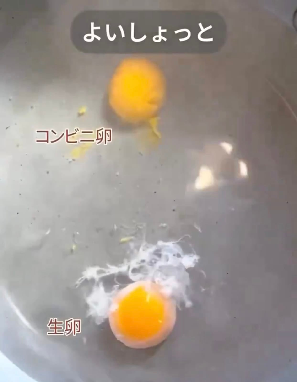 ไข่ดิบจำลอง ข้าวกล่องมินิมาร์ท ญี่ปุ่น