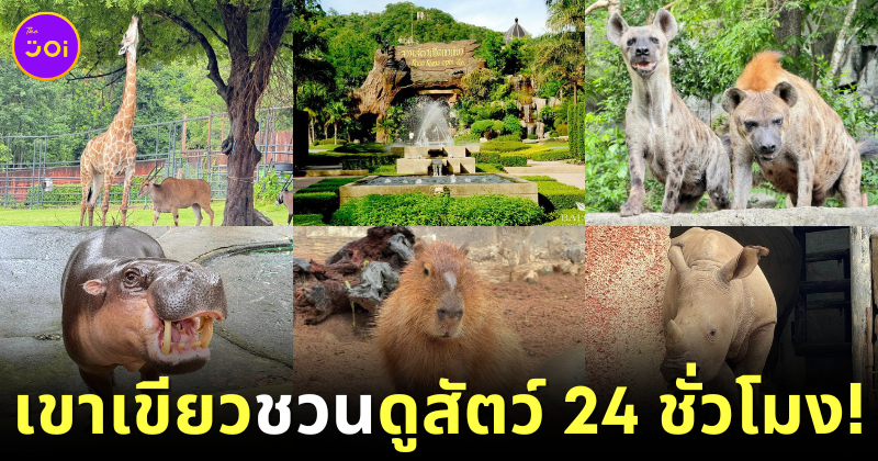 Khao Keaw Zoo 24 Hrs Live Animals
