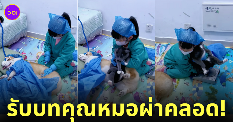 คลิปเด็กน้อยสวมบทบาทเป็นคุณหมอผ่าคลอดน้องหมา-แมว