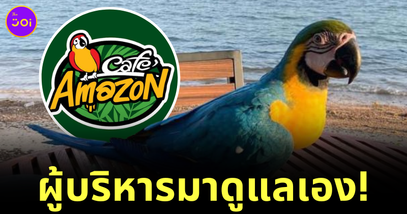 นกแก้ว Cafe Amazon ฐานทัพเรือสัตหีบ