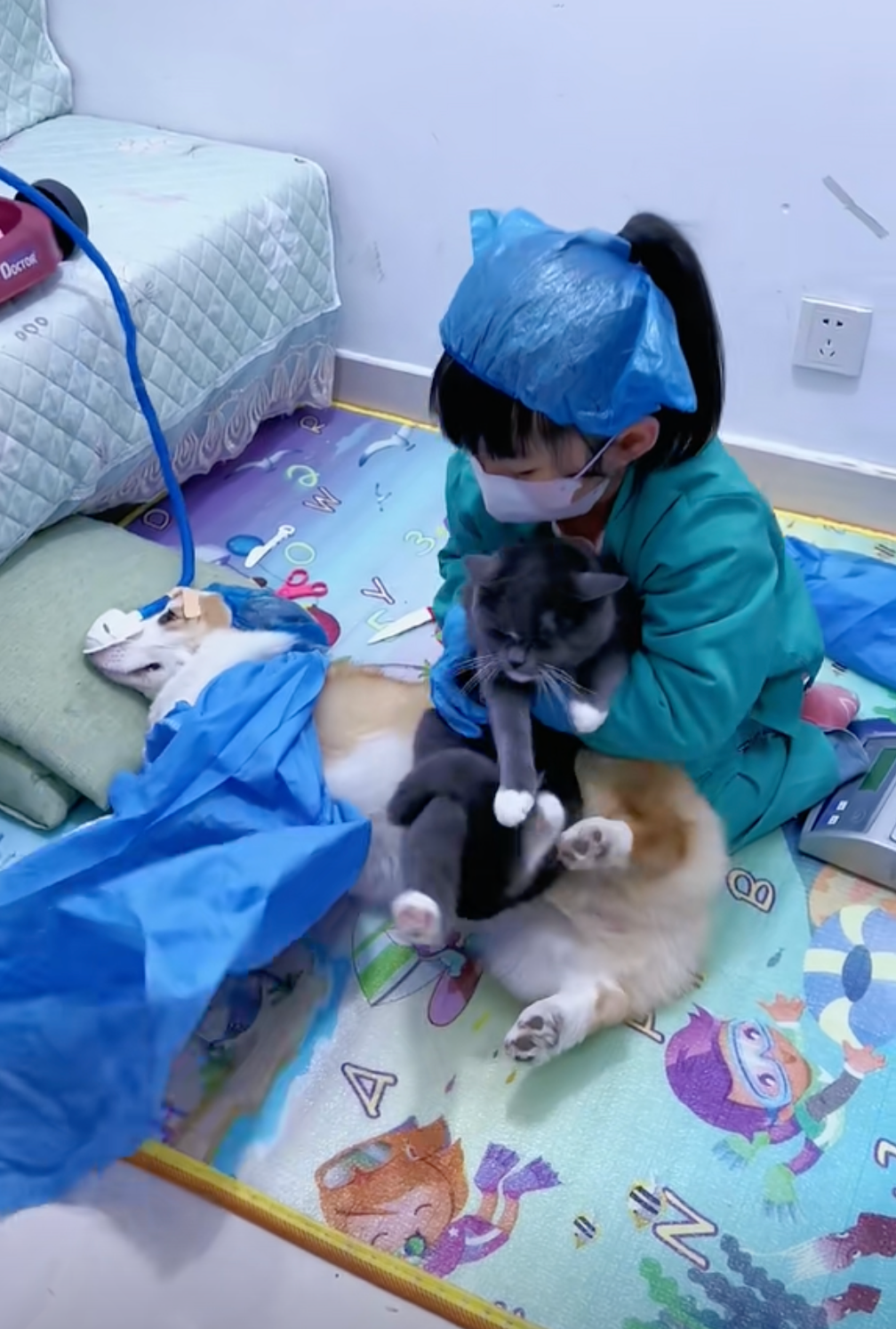 คลิปเด็กน้อยสวมบทบาทเป็นคุณหมอผ่าคลอดน้องหมา-แมว