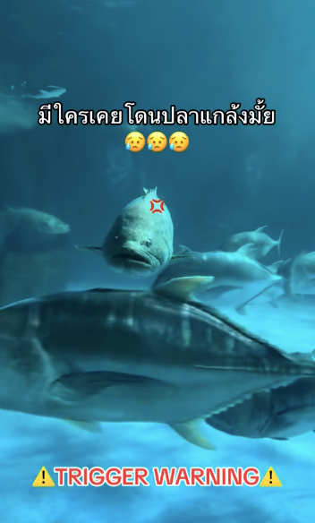  สาวไทยเที่ยวอควาเรียมบางแสน แต่กลับถูกปลาแกล้งจนสะดุ้งโหยง!