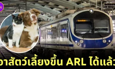 &Quot;Airport Rail Link&Quot; เปิดขบวน &Quot;Pet Travel Service&Quot; ให้คนรักสัตว์เลี้ยงพาน้องขึ้นรถไฟฟ้าได้!