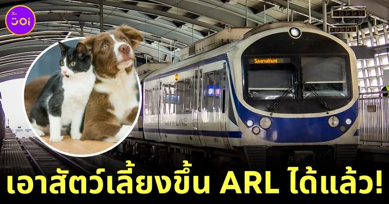 &Quot;Airport Rail Link&Quot; เปิดขบวน &Quot;Pet Travel Service&Quot; ให้คนรักสัตว์เลี้ยงพาน้องขึ้นรถไฟฟ้าได้!