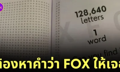 หนังสือปริศนาหาคำศัพท์ Fox จาก 200 หน้า