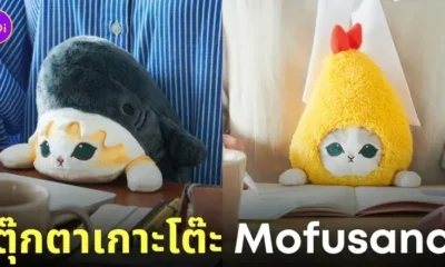 ตุ๊กตาเกาะโต๊ะ ฟุนบารุสึ แมว Mofusand