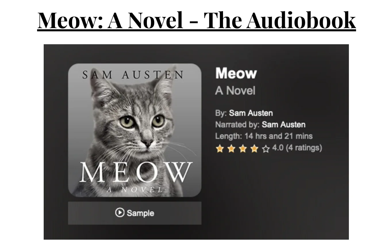 หนังสือ Meow นิยายสำหรับแมว