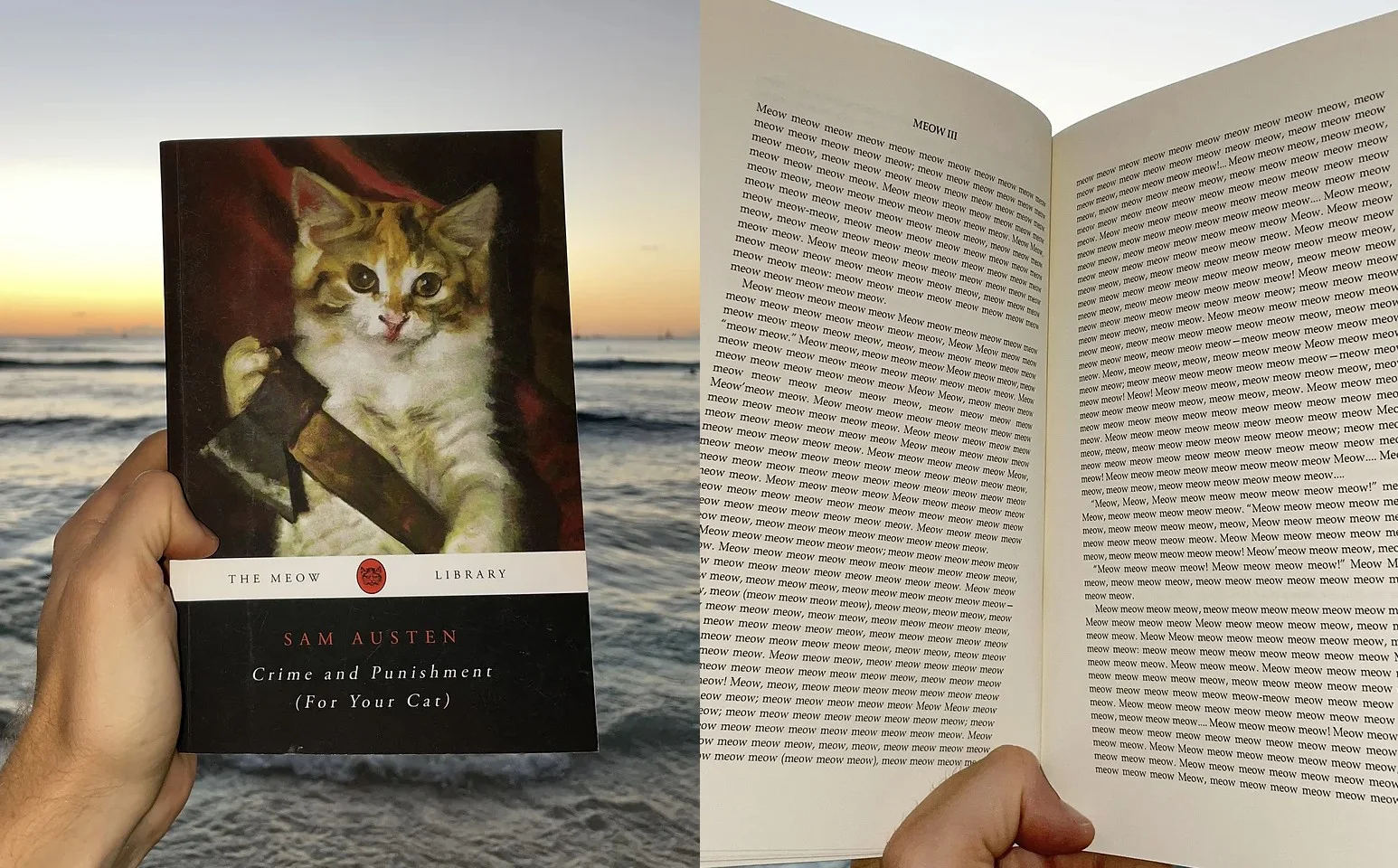 หนังสือ Meow นิยายสำหรับแมว