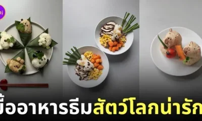 ไอเดียสร้างสรรค์มื้ออาหาร ธีมสัตว์โลกน่ารัก แม่บ้านเกาหลี Sibatable