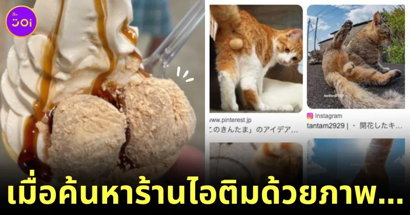 Japanese Man Found Cat Balls Instead Of Ice Cream