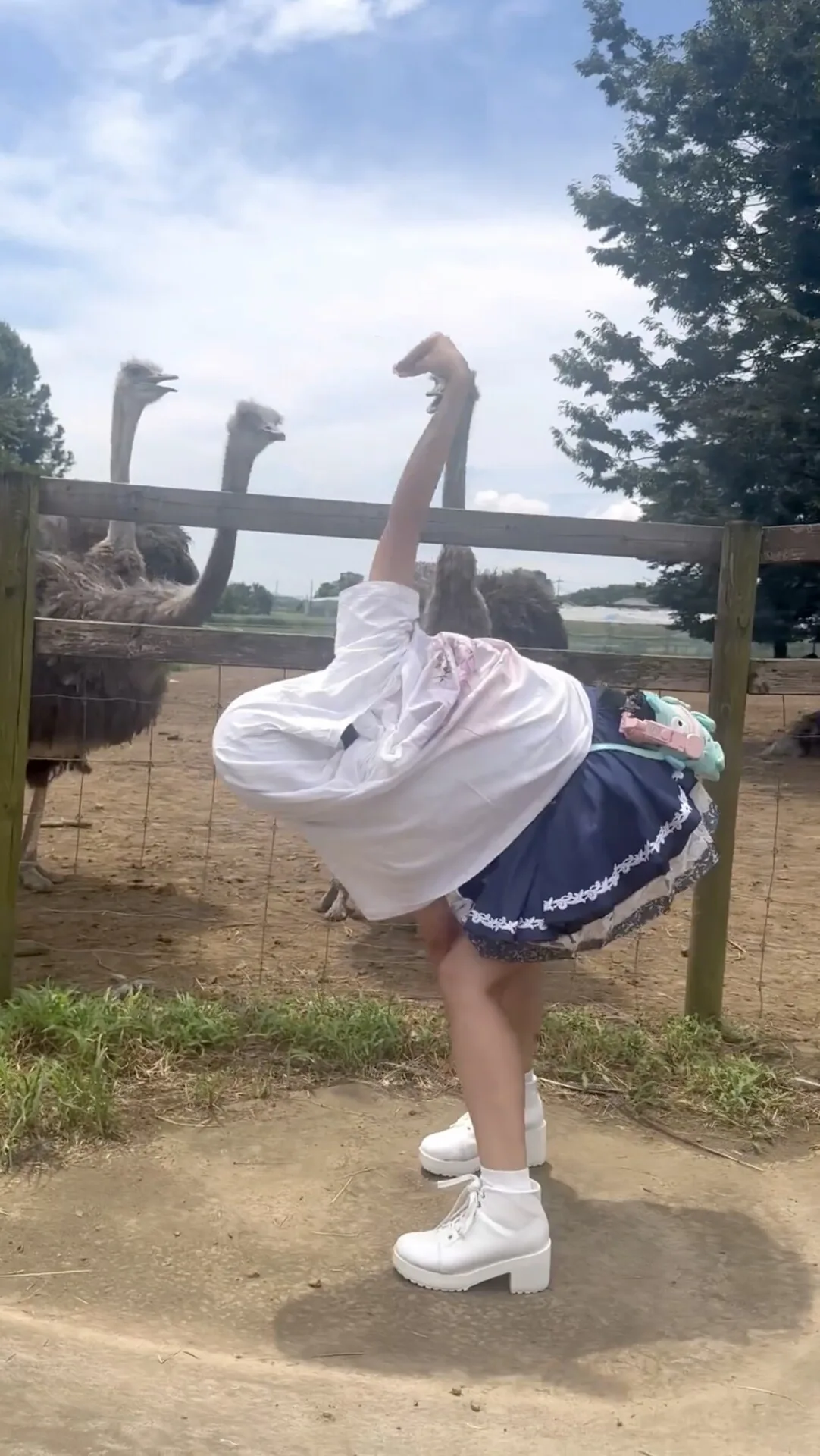 คลิปไอดอลสาวชาวญี่ปุ่นทำท่าทางเลียนแบบนกกระจอกเทศ