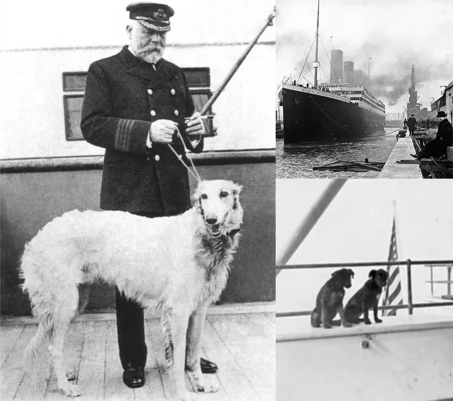 รู้หรือไม่? บนเรือไททานิค (Titanic) มีสุนัขโดยสารไปด้วย 12 ตัว และมีค่าโดยสารแพงเท่ากับเด็ก