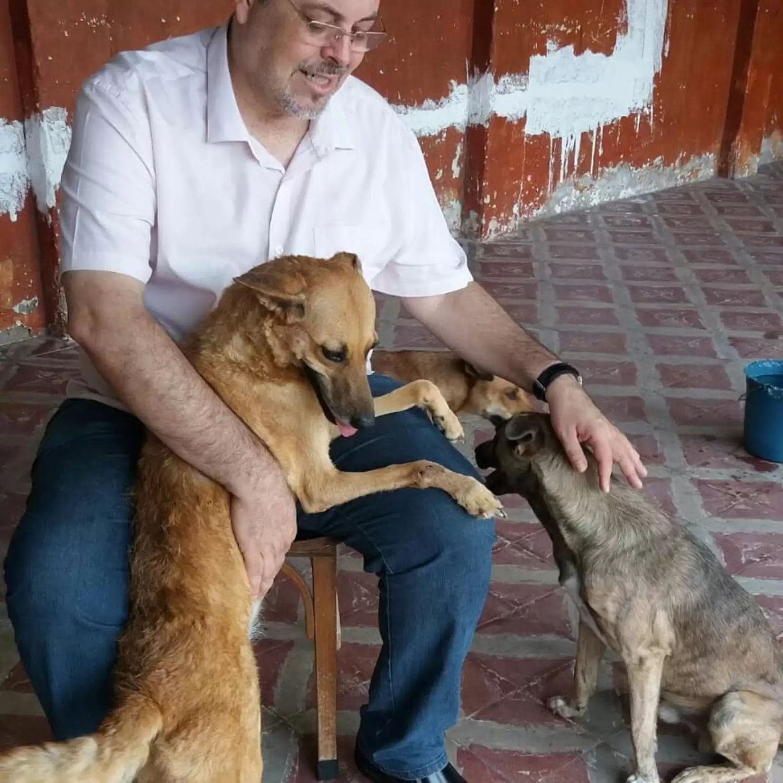 นักบวชชาวบราซิลพาสุนัขจรจัดมาร่วมพิธีมิสซาทุกครั้ง เพื่อหาบ้านที่อบอุ่นให้กับน้อง