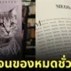 หนังสือนิยายแมว Meow ซื้อที่ไหน