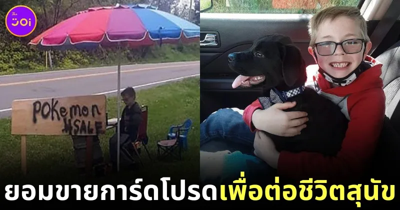 สุดซึ้ง! เด็กชายวัย 8 ขวบ พยายามทำทุกอย่าง แม้กระทั่งขายไพ่ &Quot;โปเกมอน (Pokemon)&Quot; สุดหวงแหน เพื่อหาเงินรักษาสุนัขที่รัก