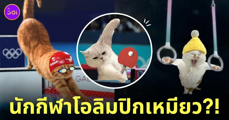 น้องแมวกลายเป็นนักกีฬาในโอลิมปิก 2024 Olympic Games Paris 2024