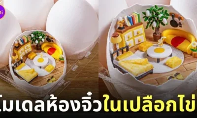 โมเดลดินเหนียว ห้องจิ๋วในเปลือกไข่