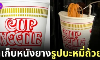 ที่เก็บหนังยางวง บะหมี่ถ้วย นิสชิน ญี่ปุ่น Nissin Japan