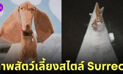 ภาพสัตว์เลี้ยงในรูปแบบ Surreal ศิลปิน Lola Dupre